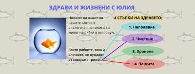 Консултация с експерт в подкрепа на здравето - Здрави и жизнени с Юлия | Пречистване на организма