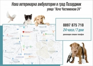 Ветеринарна aмбулатория АЛБАВЕТ - Денонощен ветеринарен кабинет Пазарджик